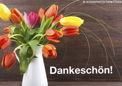 Die WSSRK sagt Danke f&uuml;r das Engagement 
            ihrer Mitglieder.