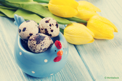 Die Württembergische Schwesternschaft vom Roten Kreuz e. V. wünscht Ihnen und Ihren Familien frohe Ostern und erholsame Feiertage.